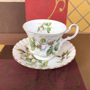 Royal Albert White Trillium Teacup And Saucer